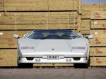Lamborghini Countach 25th Anniversary 1988 года (UK)